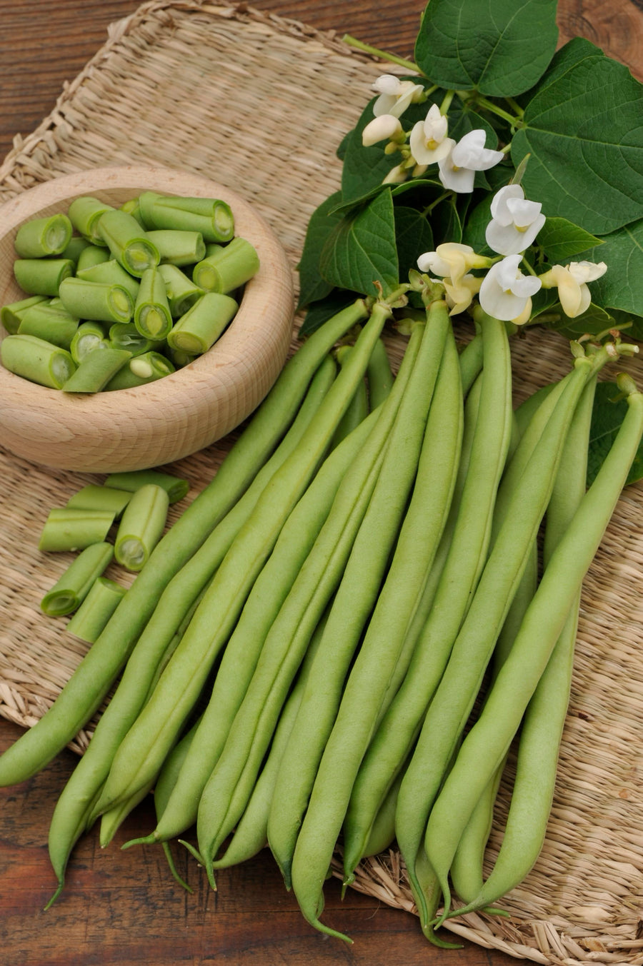 Phaseolus vulgaris var. vulgaris 'Neckarkönigin'