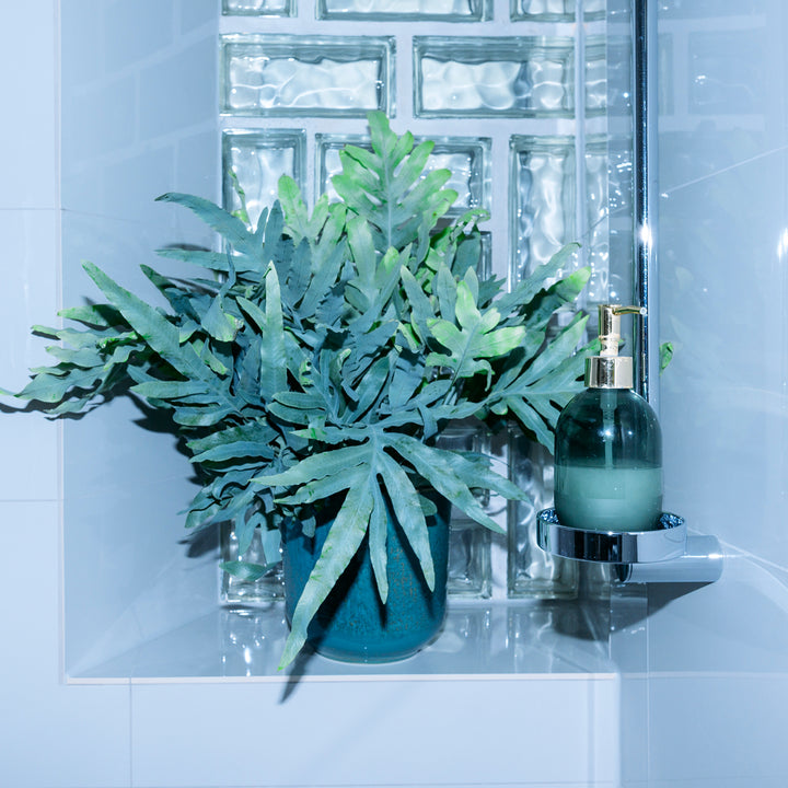 Phlebodium aureum 'Blue Star' im Badezimmer