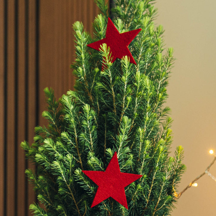 Weihnachtliche Picea glauca 'Conica' mit Holz-Schmuck