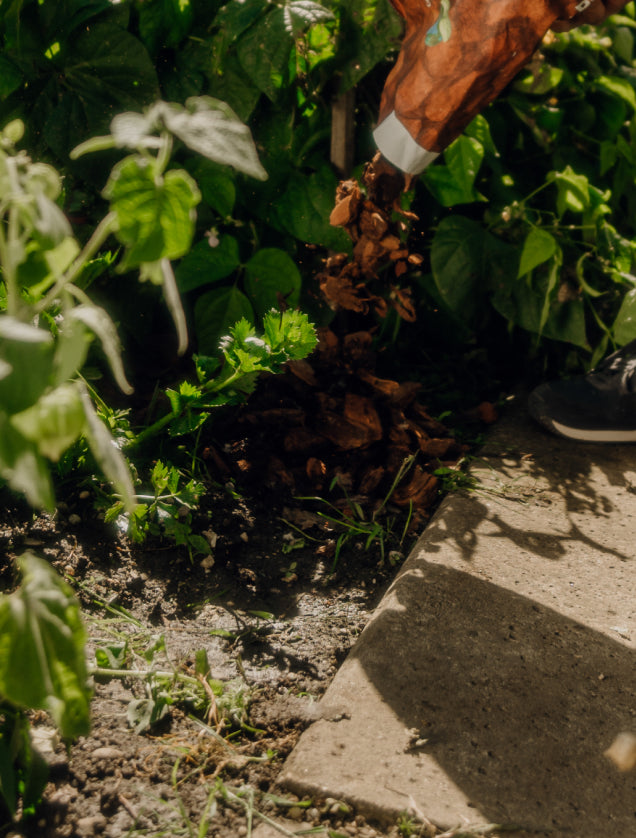 Pinienrinde wird aus einem Sack auf das Gartenbeet geschüttet