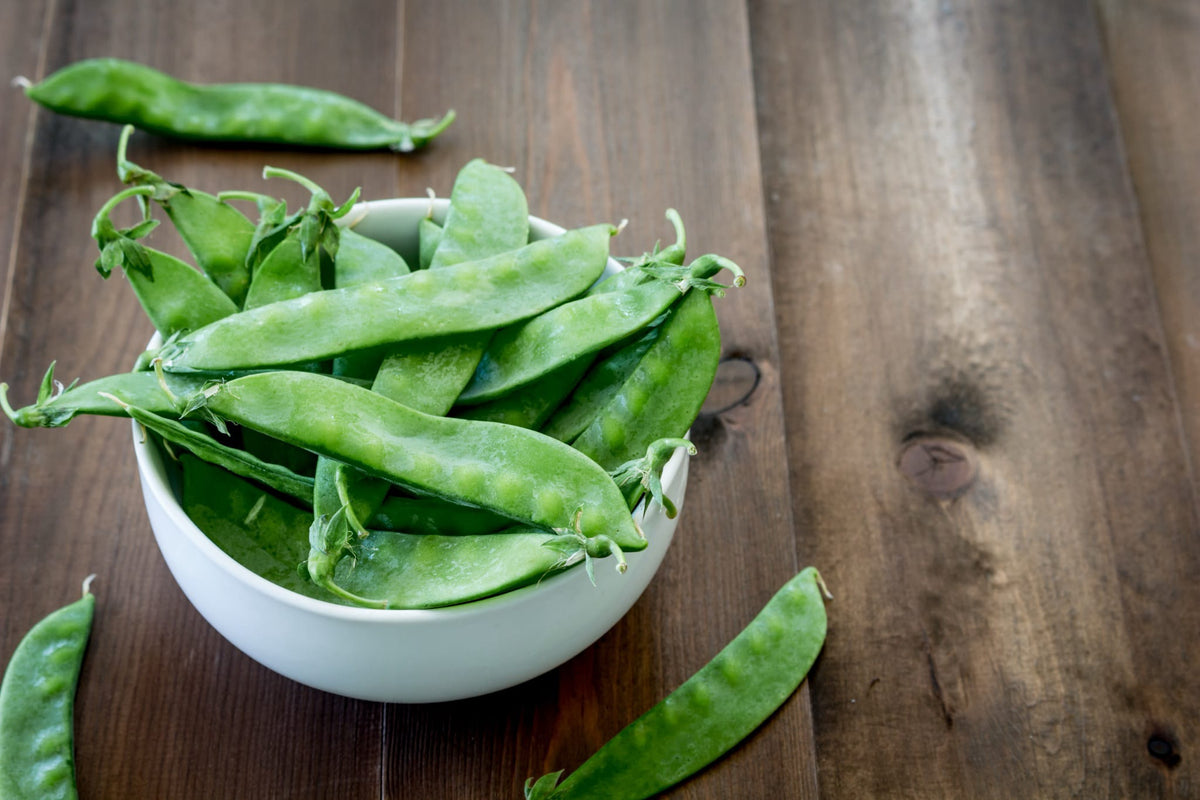 Pisum sativum var. axiphium 'Weggiser'
