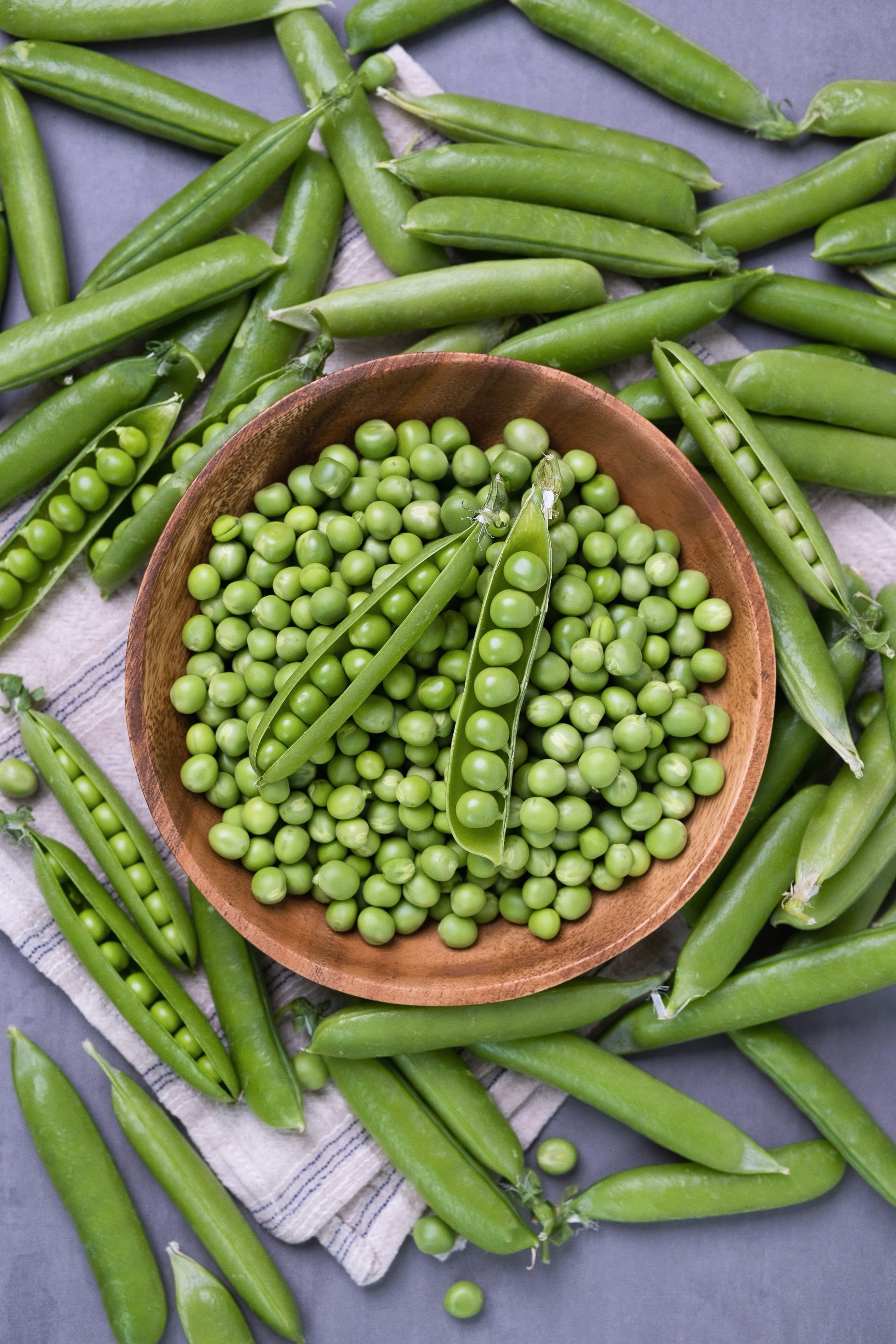 Pisum sativum var. medullare 'Buddy'