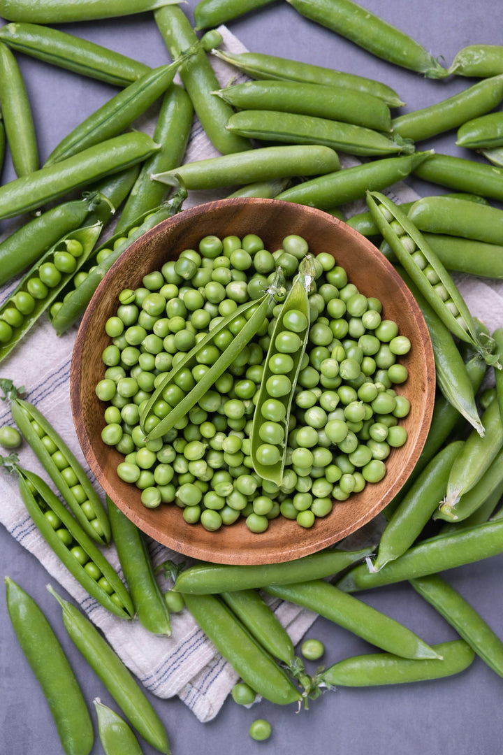 Pisum sativum var. medullare 'Buddy'