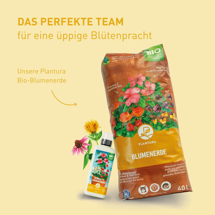 Plantura Bio-flüssiger Blumendünger mit Plantura Blumenerde