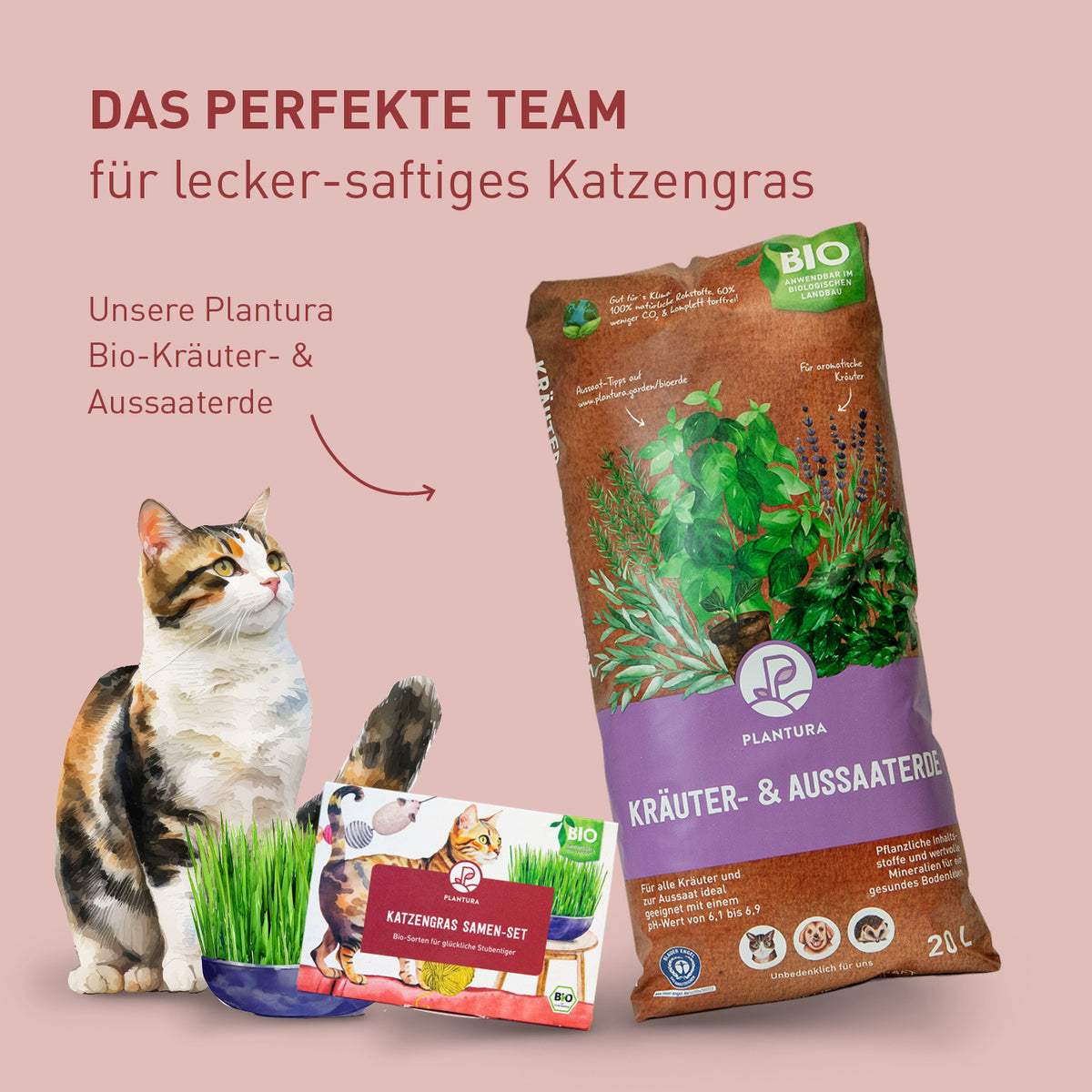 Plantura Bio-Katzengras und Aussaaterde
