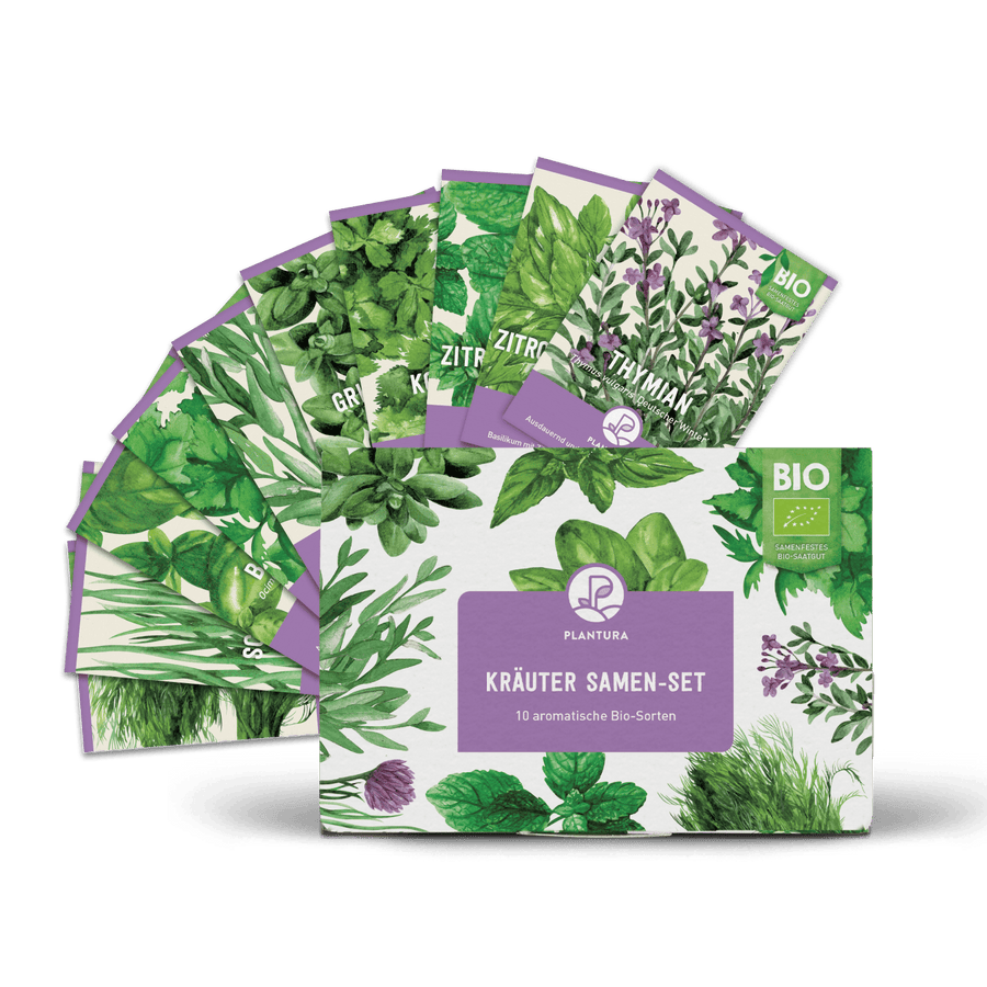 Plantura Bio-Kräuter Samen-Set