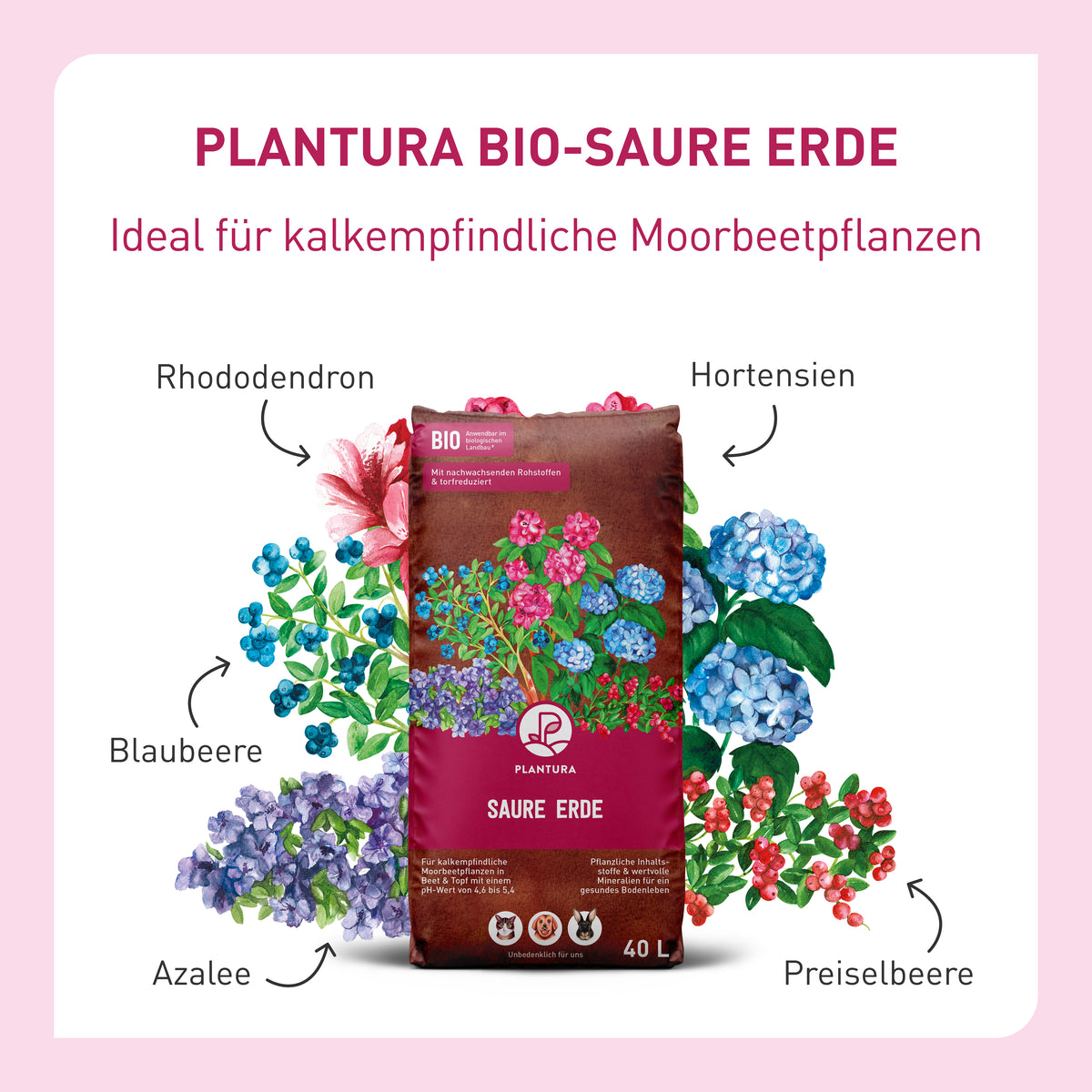 Infografik zur Plantura Bio-Sauren Erde mit passenden Moorbeetpflanzen wie Rhododendron, Hortensien, Blaubeere, Azalee und Preiselbeere
