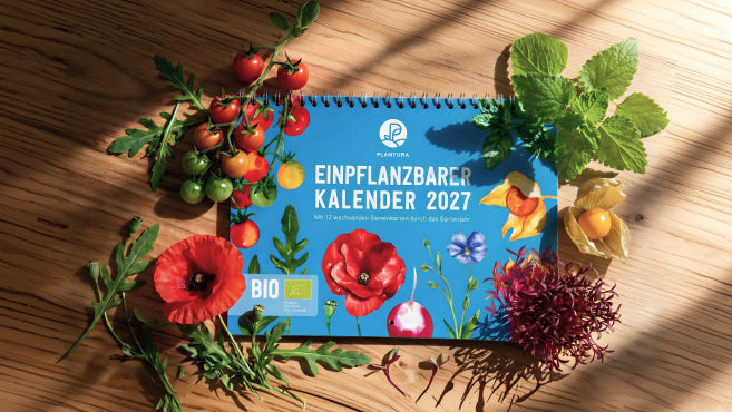 Einpflanzbarer Kalender 2027 auf einer Holzoberfläche