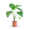 Plantura Elefantenohr