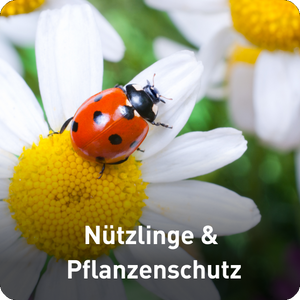 Nützlinge & Pflanzenschutz Produktgruppe
