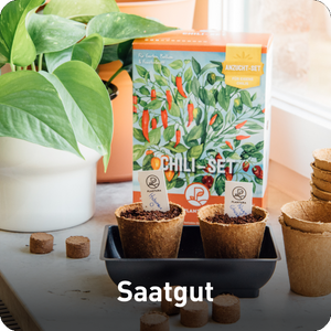 Saatgut Produktgruppe