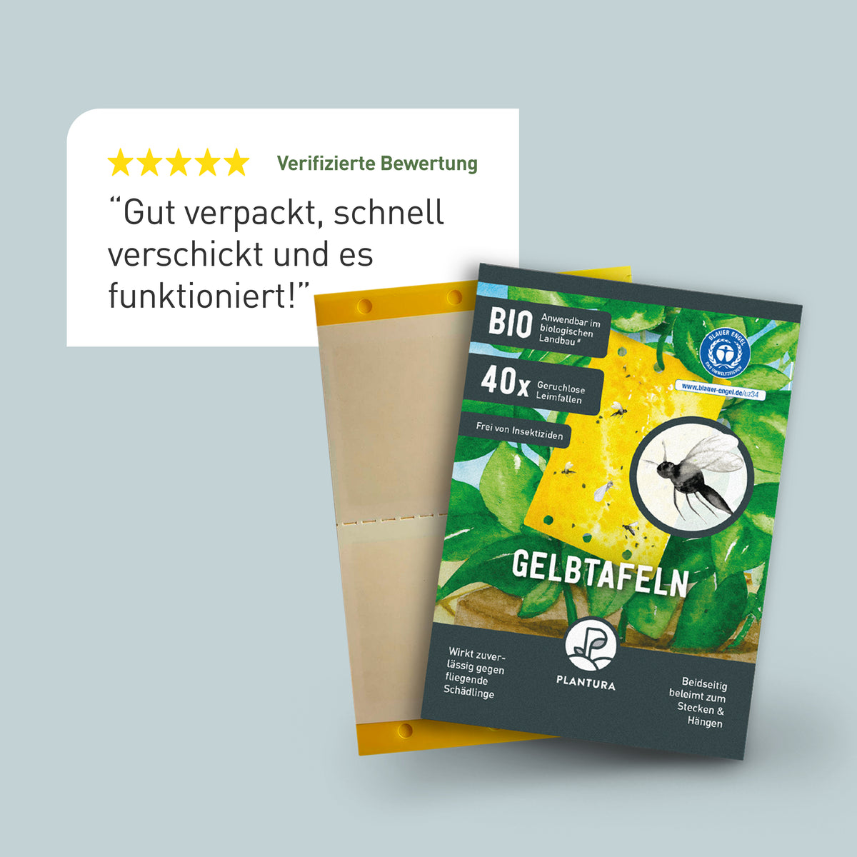 Bewertung der Plantura Gelbtafeln