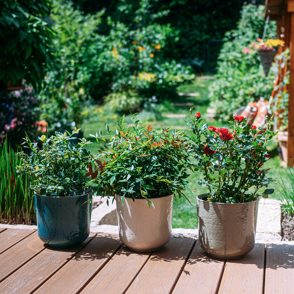 Keramik Blumentöpfe mit Pflanzen auf Terrasse