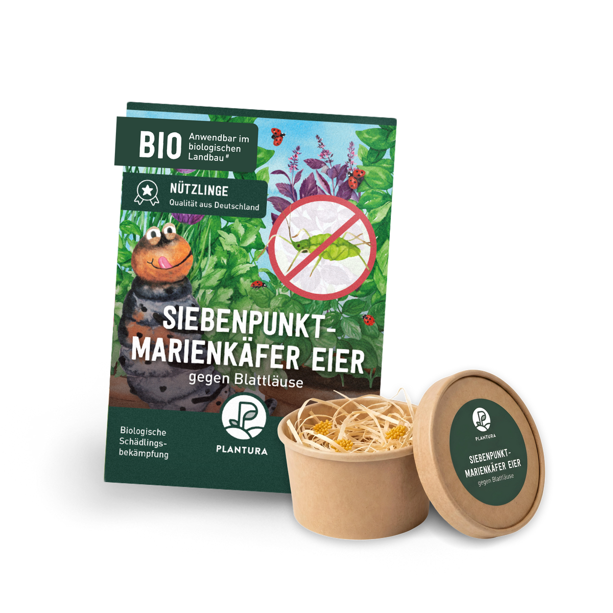 Plantura Marienkäfer-Eier gegen Blattläuse
