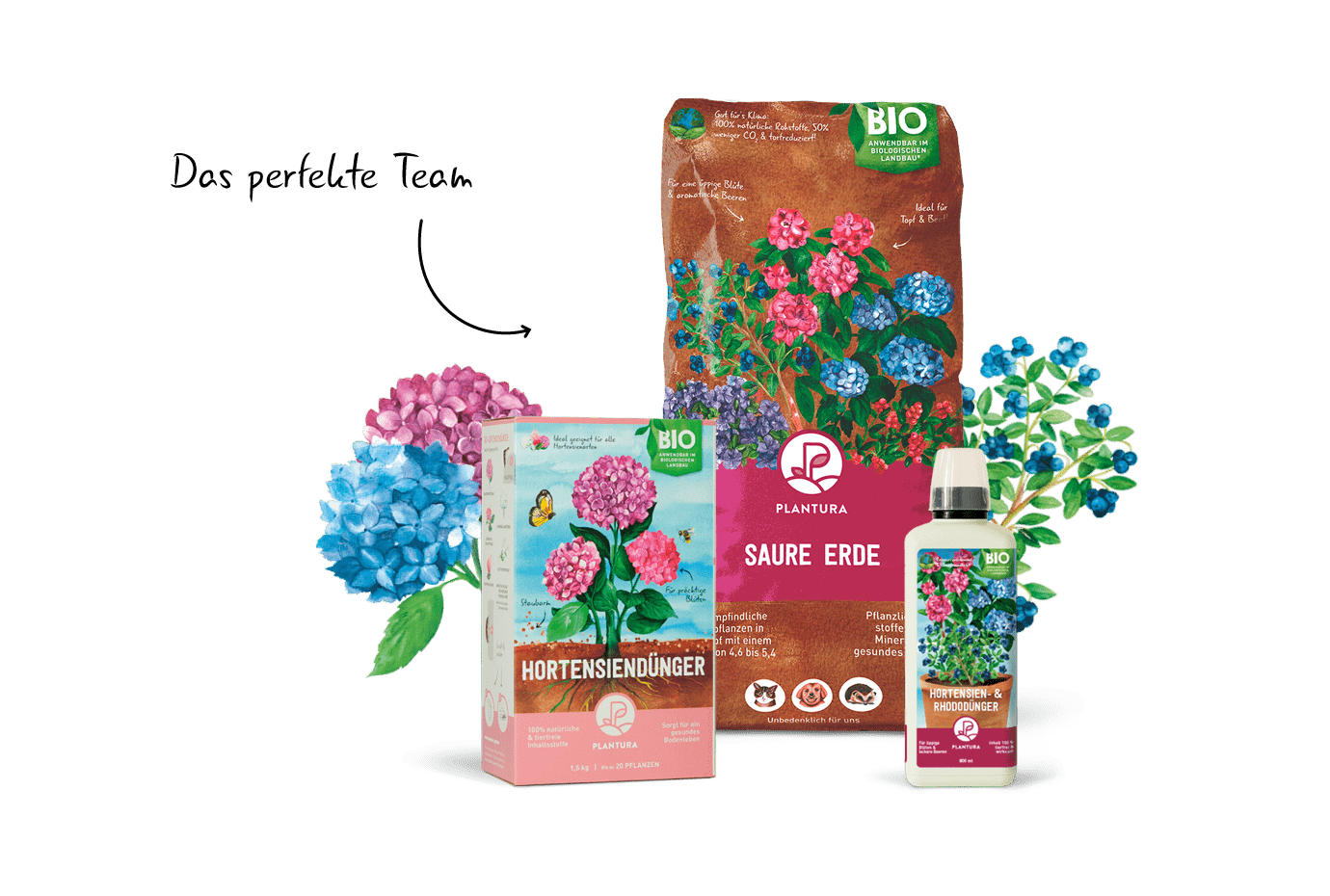 Rhododendron Produkte von Plantura