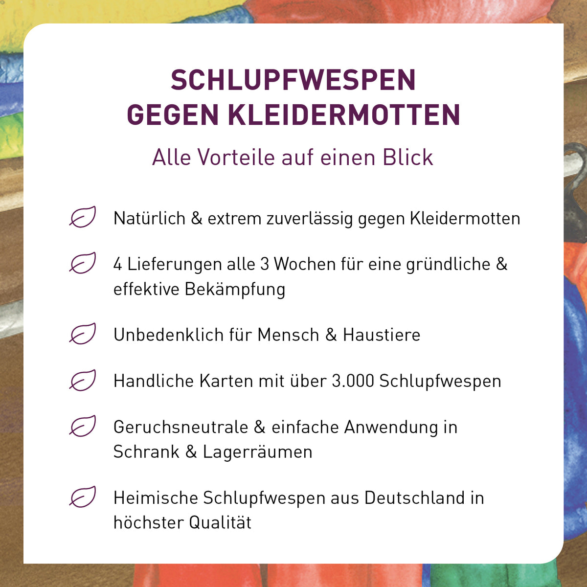 Vorteile Schlupfwespen gegen Kleidermotten