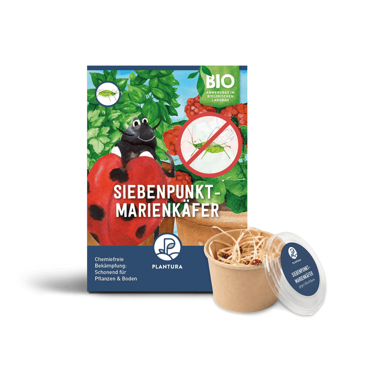 Plantura Siebenpunkt-Marienkäfer