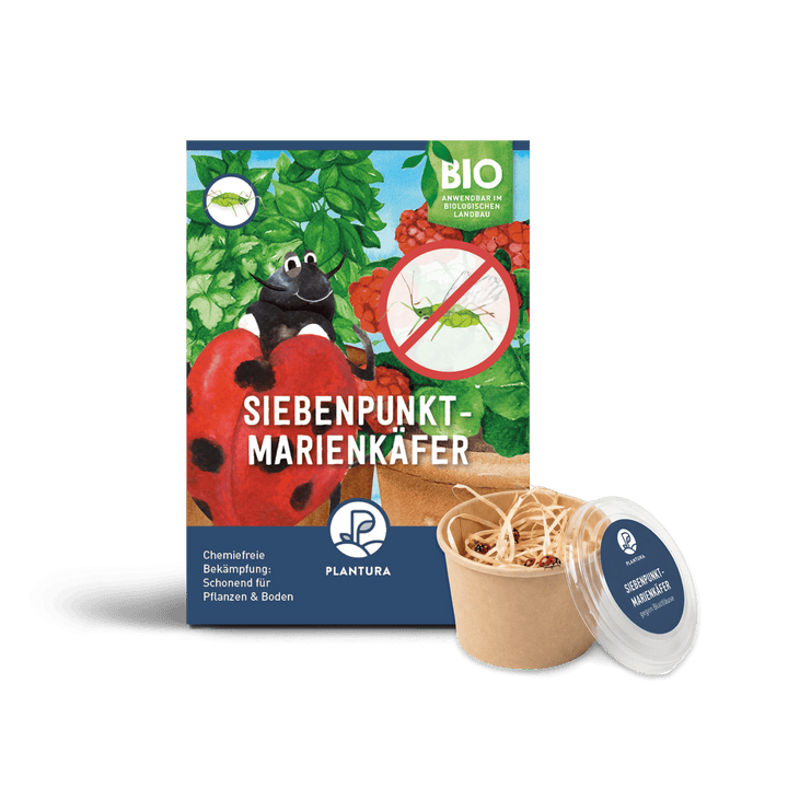 Plantura Siebenpunkt-Marienkäfer