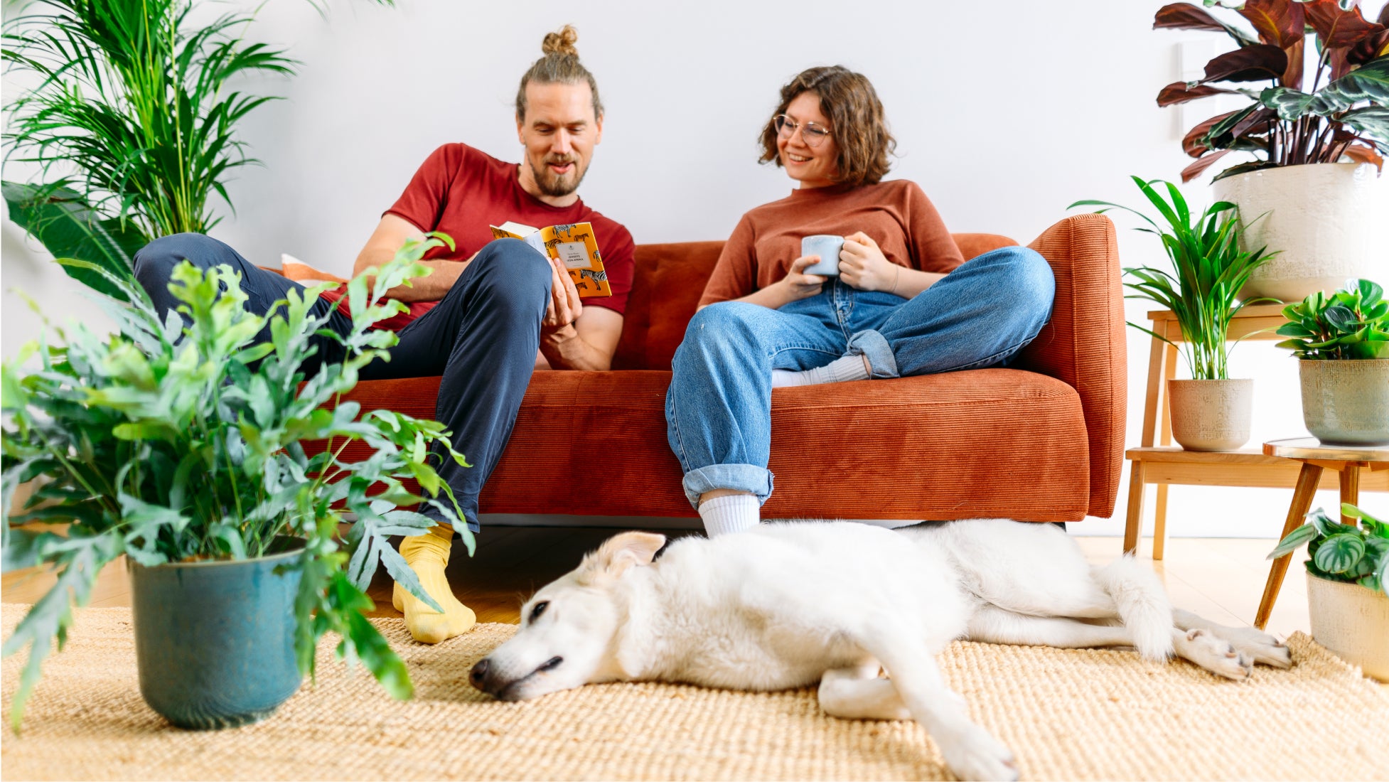 Mann und Frau auf Couch mit Hund und Zimmerpflanzen