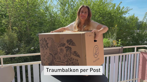 Inhalt und Bepflanzung von der Plantura Balkonbox