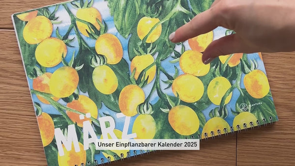 Einpflanzbarer Kalender 2025 als Geschenkidee