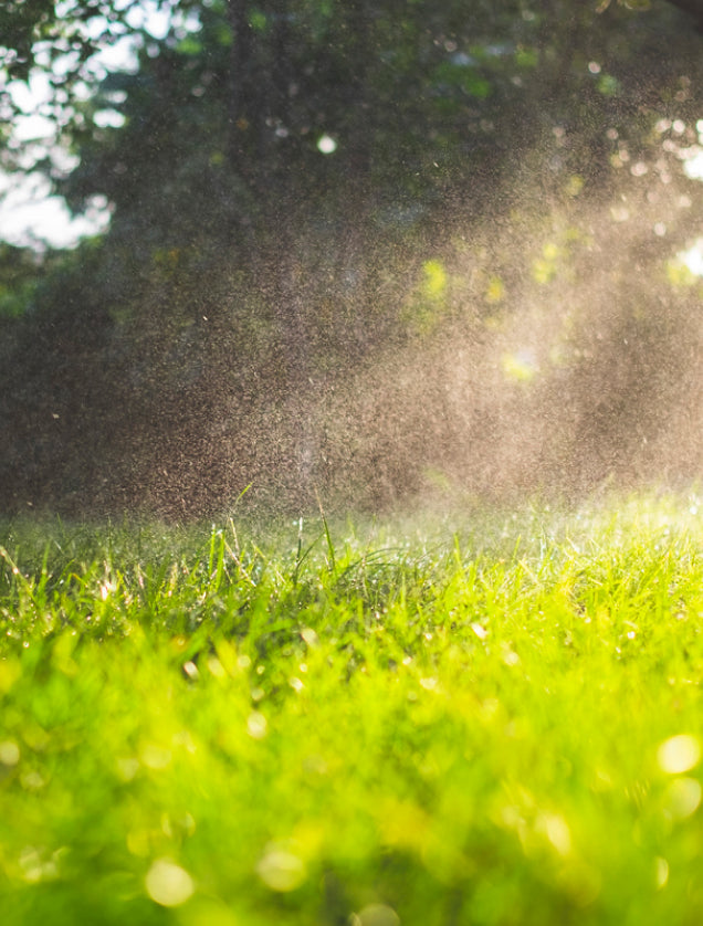 Grüner Rasen wird mit einem Rasensprenger im Sonnenlicht bewässert