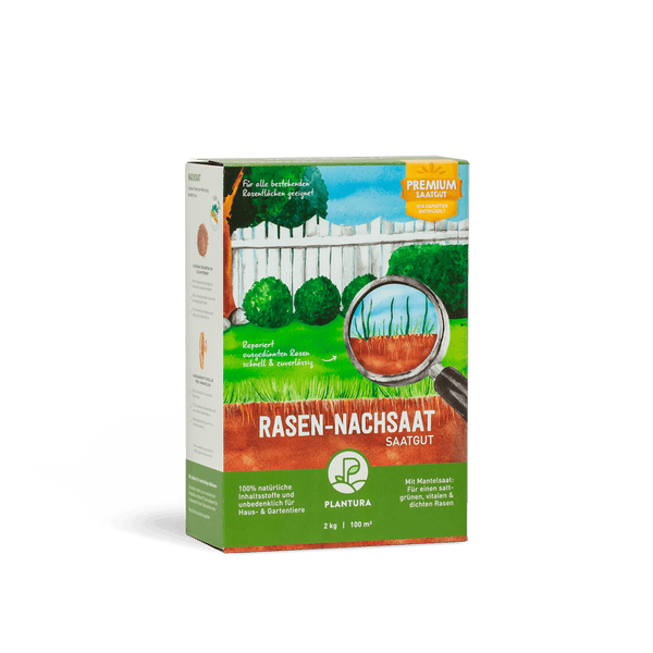 Rasen-Nachsaat kaufen