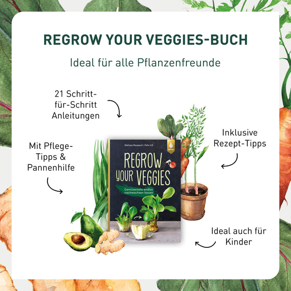 Anleitung zum Nachwachsen von Gemüse