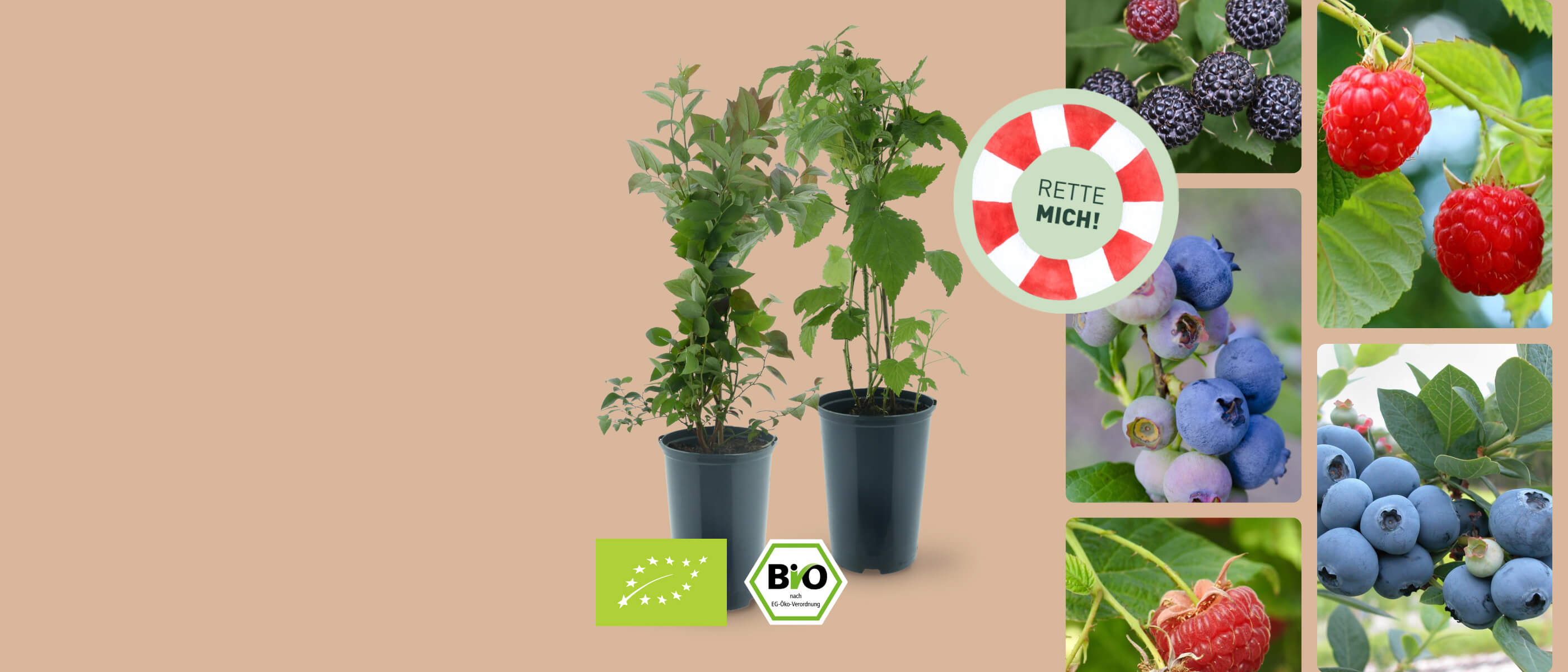 Rette mich: Bio-Beeren Aktion