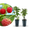 Rette mich: Bio-Himbeeren (2er Set)