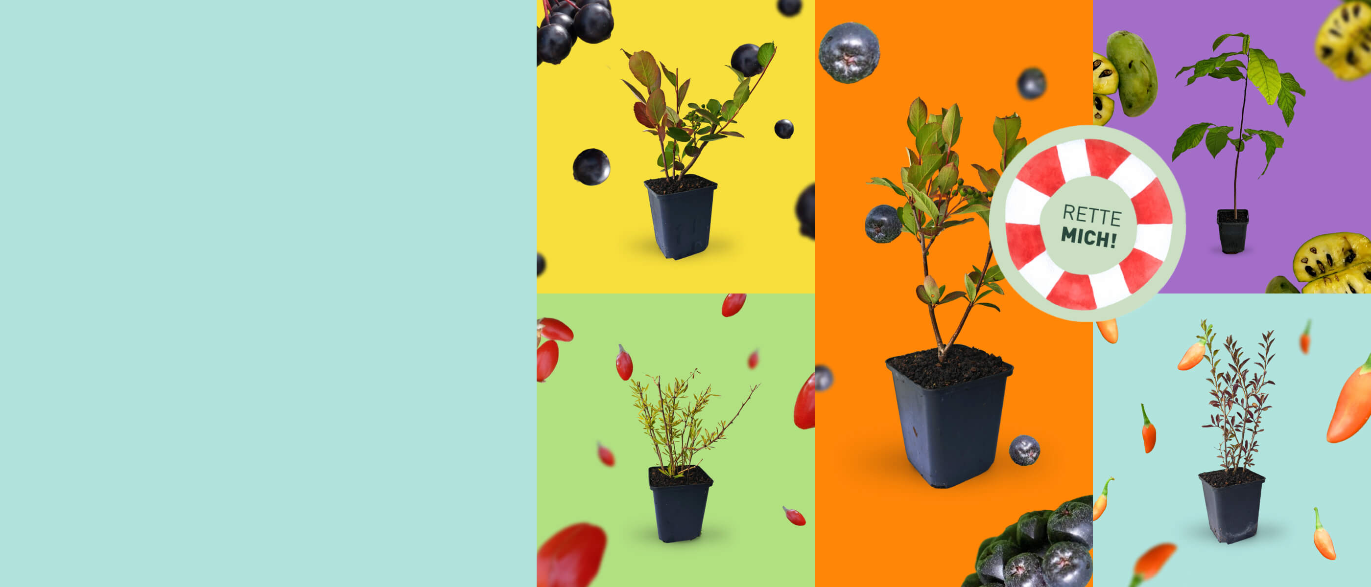 Rette mich: Superfood Aktion