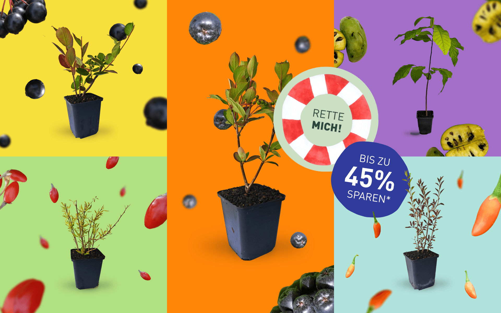 Rette mich: Superfood Aktion