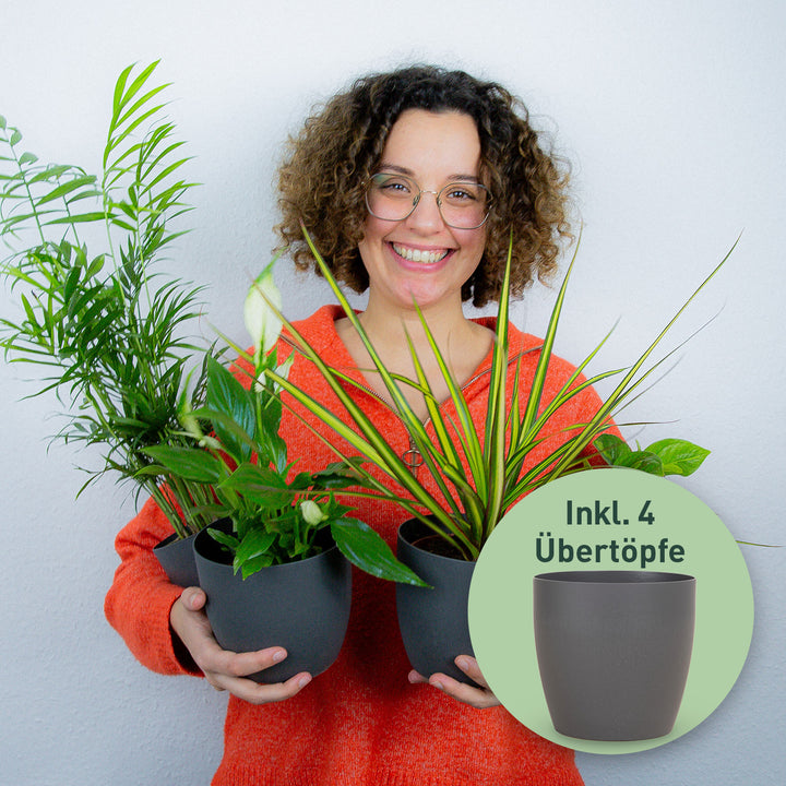 12er Set Zimmerpflanzen Retter-Box mit Bio-Faser Übertöpfen Natur
