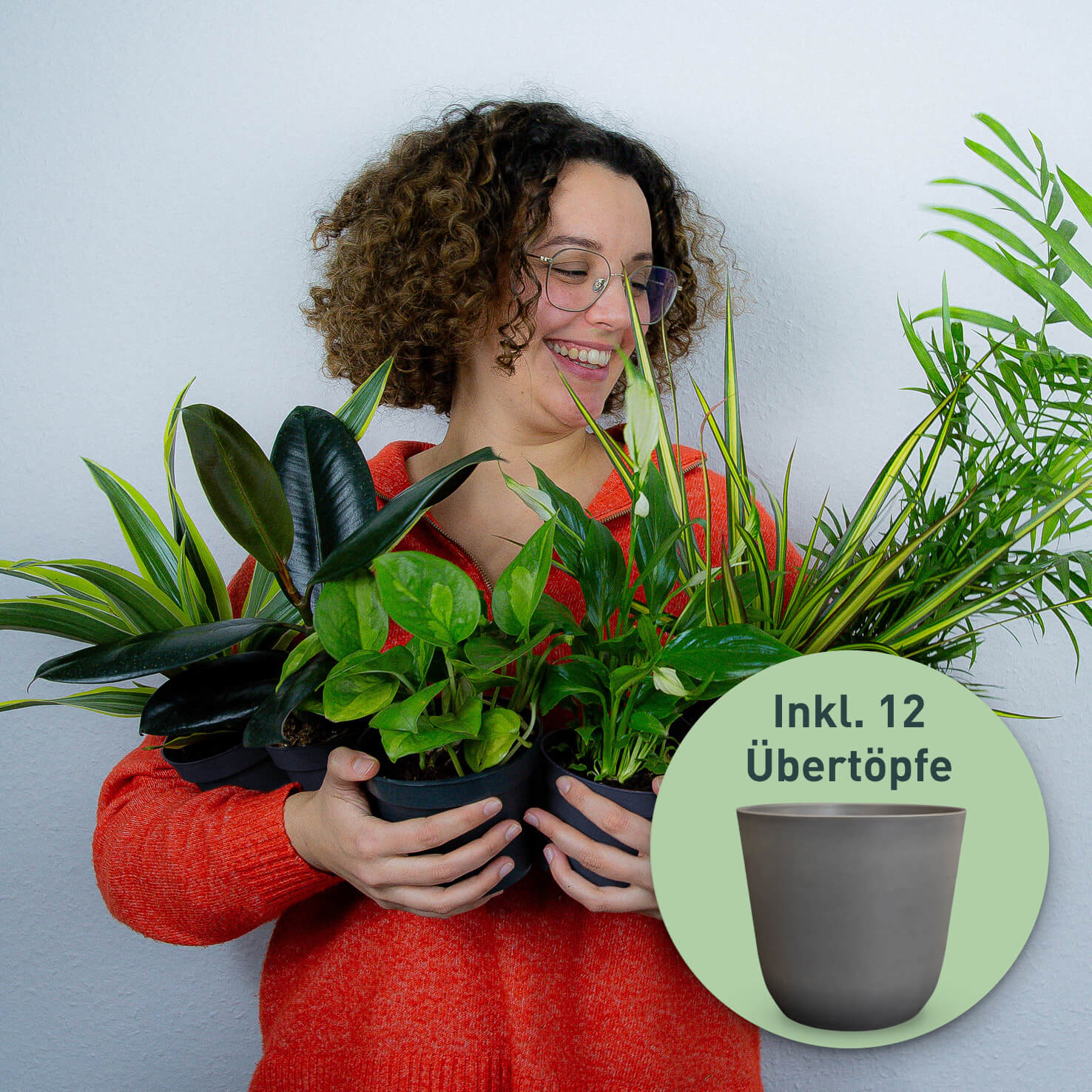 12er Set Zimmerpflanzen Retter-Box mit Eco-Mineral Übertöpfen Anthrazit