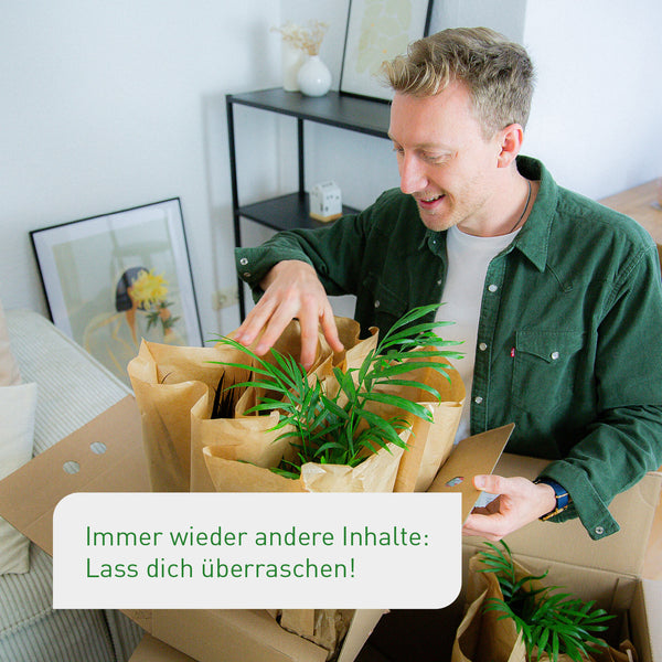 4er Set Zimmerpflanzen Retter-Box mit Bio-Faser Übertöpfen Natur