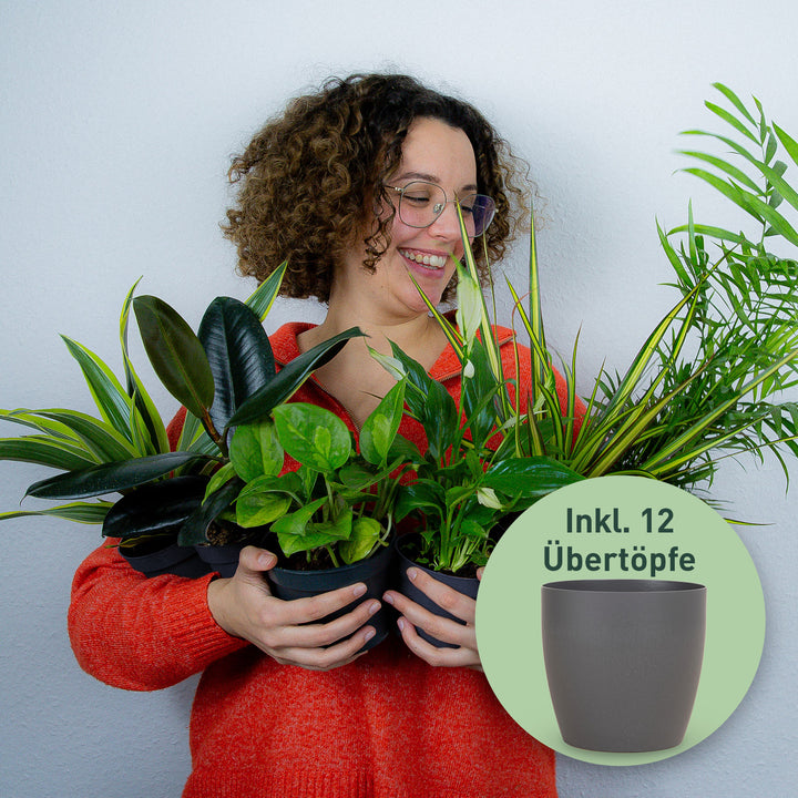 4er Set Zimmerpflanzen Retter-Box mit Bio-Faser Übertöpfen Natur