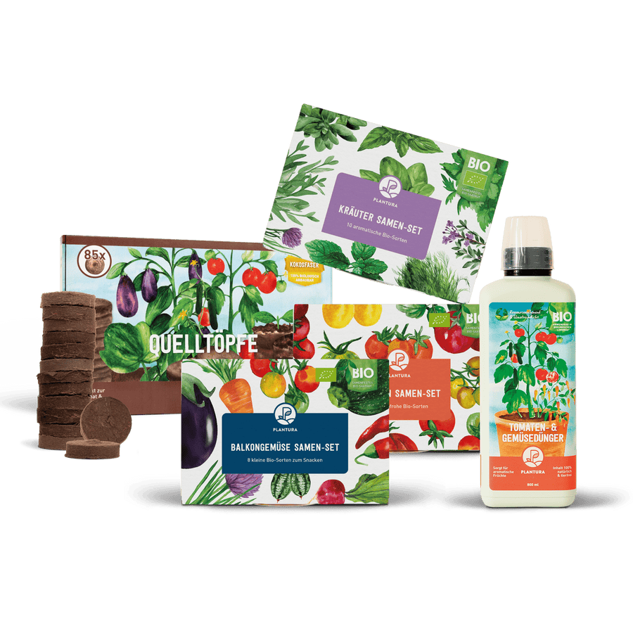 Saatgut Geschenk-Set