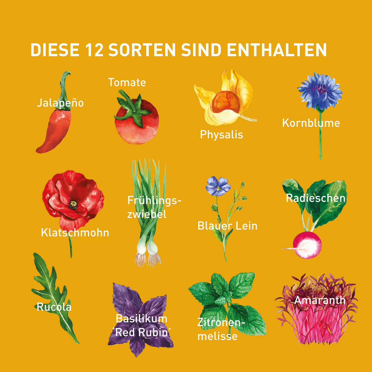 Sorten im Plantura Samenkalender 2027