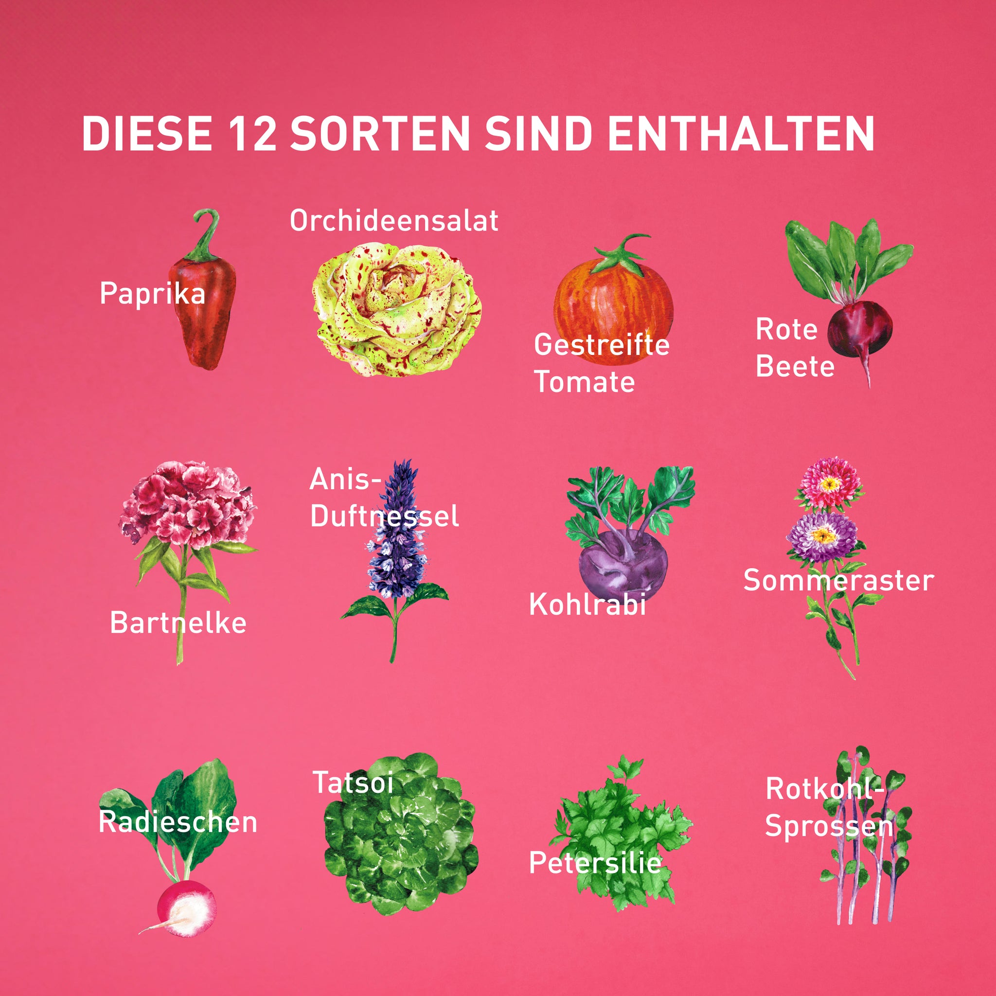 Sorten im Plantura Samenkalender 2024