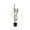 Sanddorn 'Pollmix'