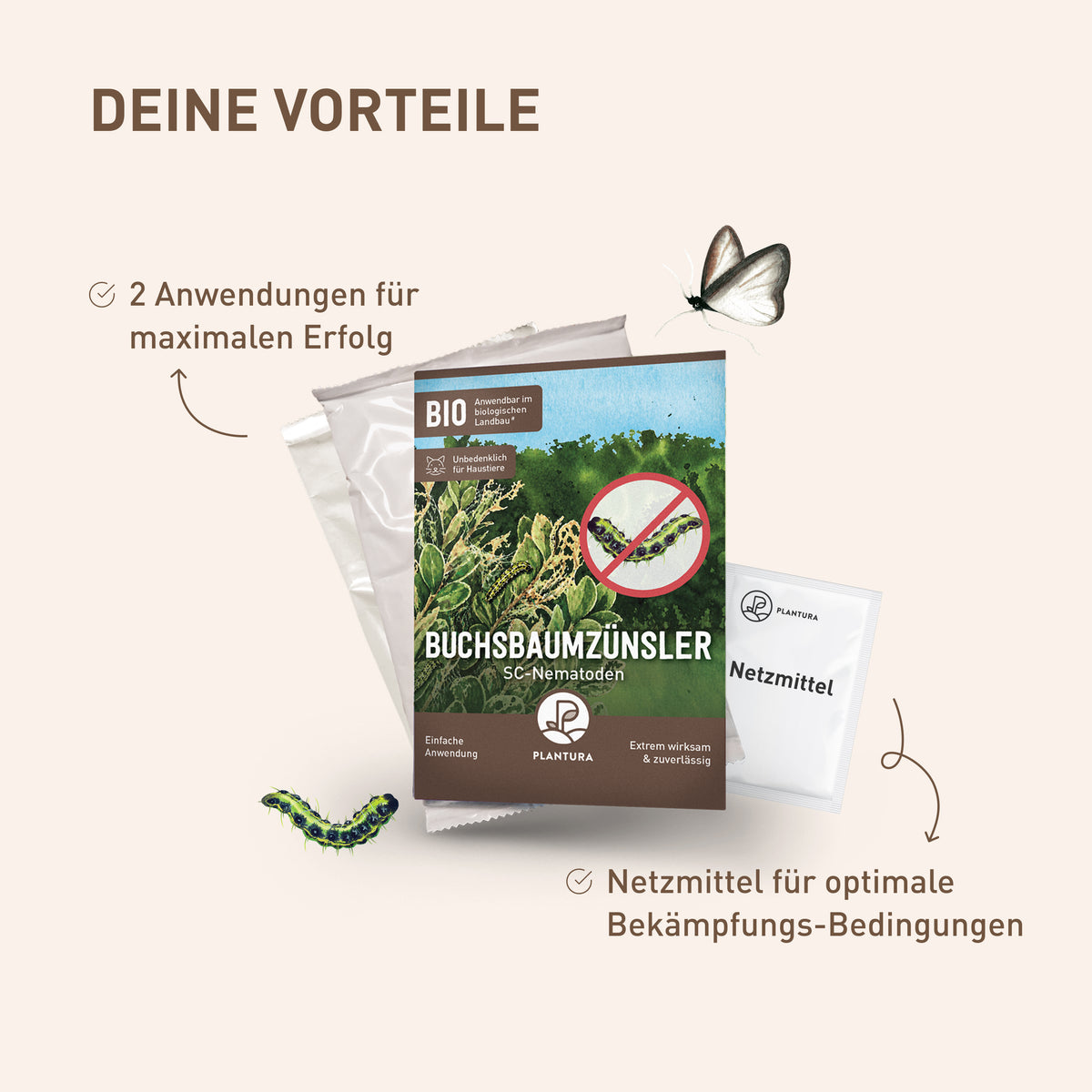 Nematoden gegen Buchsbaumzünsler mit Netzmittel
