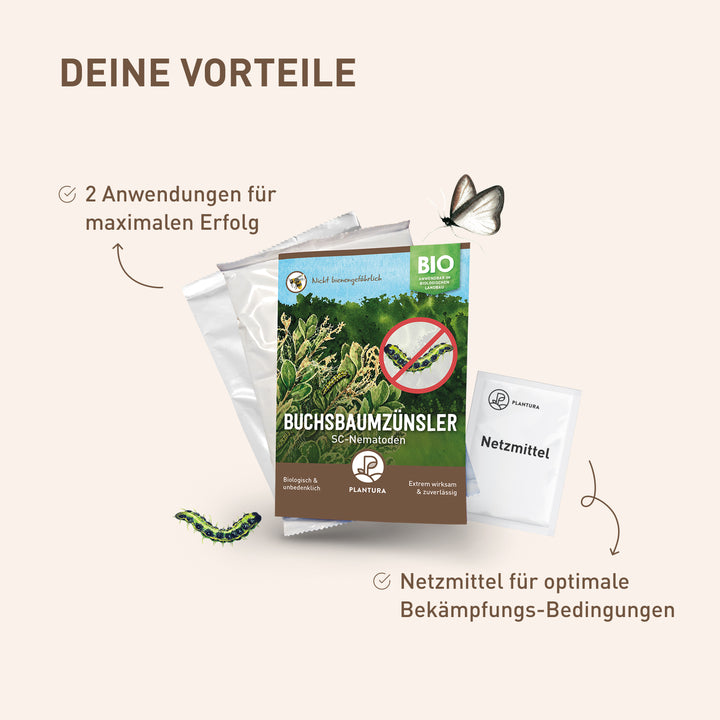 Nematoden gegen Buchsbaumzünsler mit Netzmittel