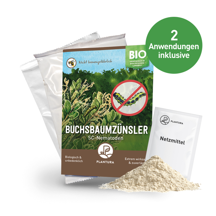 SC-Nematoden gegen Buchsbaumzünsler