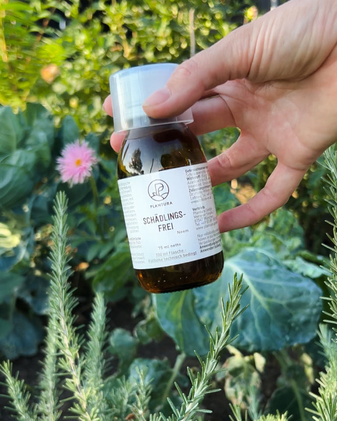 Hand hält eine Flasche Schädlingsfrei Pflanzenschutzmittel im Garten