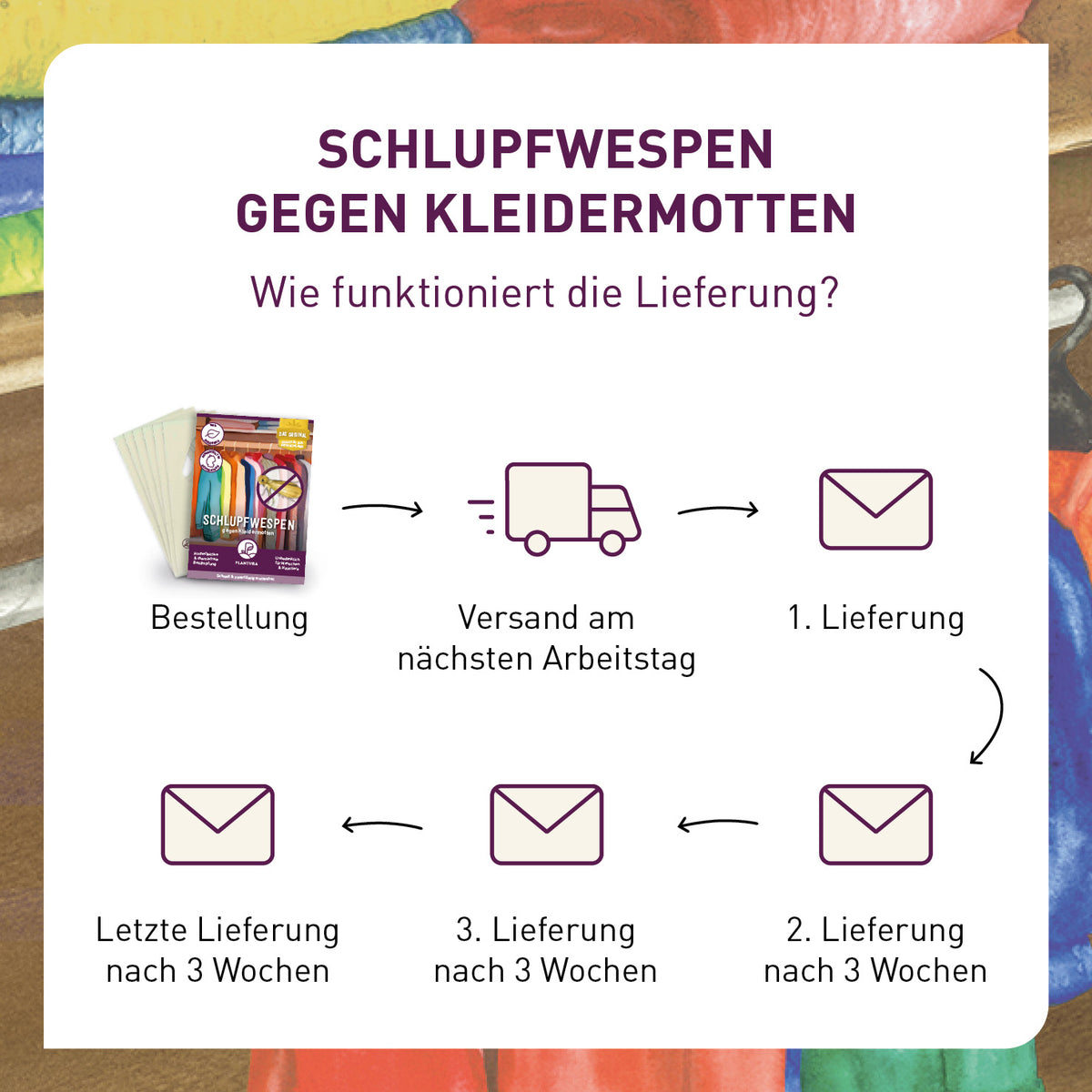 Lieferung Schlupfwespen gegen Kleidermotten