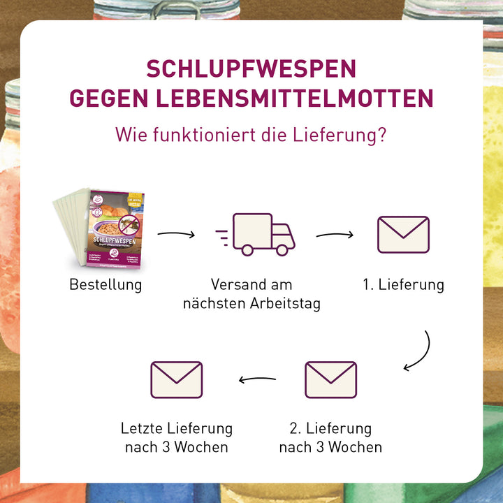 Lieferung Schlupfwespen gegen Lebensmittelmotten
