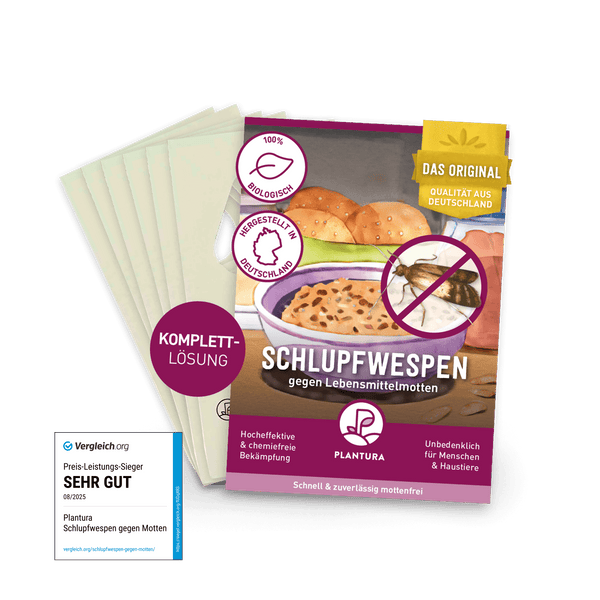 Schlupfwespen gegen Lebensmittelmotten kaufen – Plantura