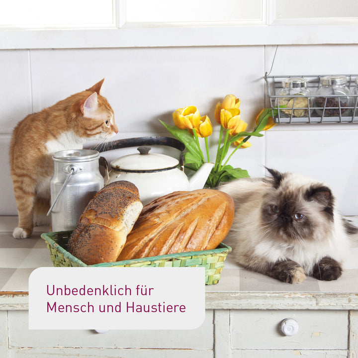 Schlupfwespen unbedenklich für Tiere