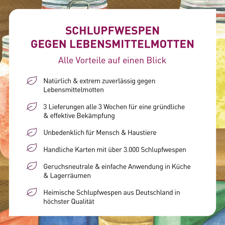 Vorteile von Schlupfwespen gegen Lebensmittelmotten