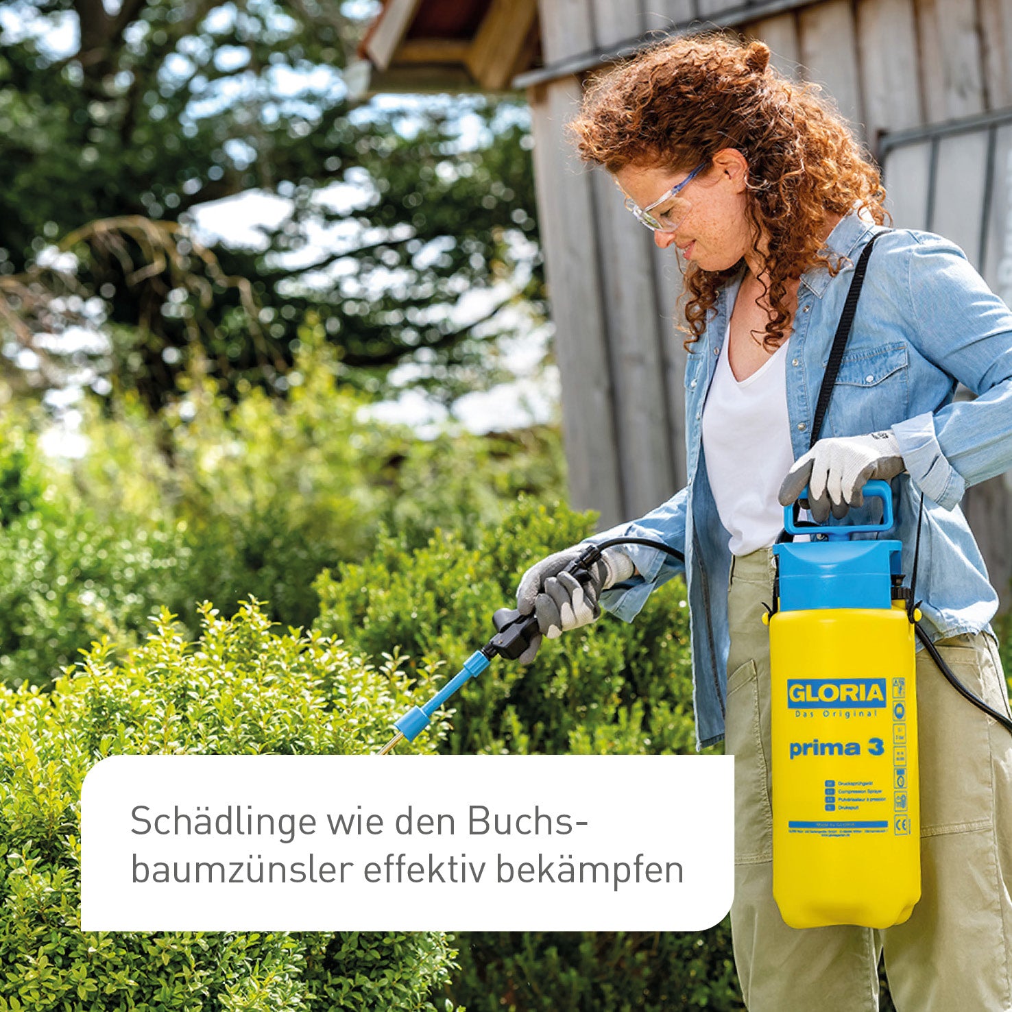 Buchsbaumzünsler bekämpfen mit Sprüher-Set Gloria prima 3 mit 270° Sprühlanze